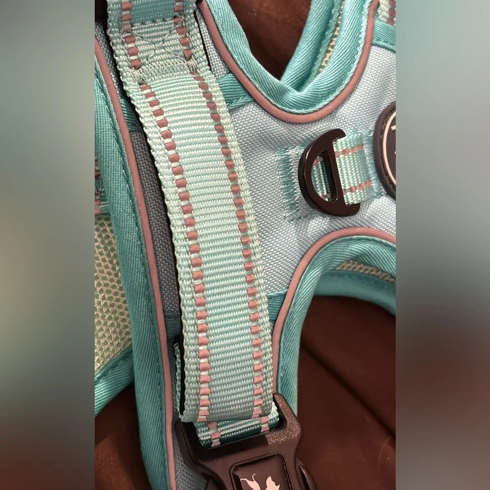 PoyPet No Pull Dog Harness, No Choke Reflective Dogs(Mint Blue Matching Trim, M)